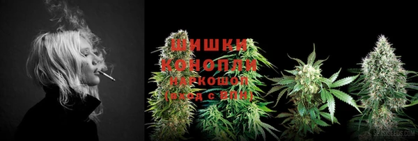 гидра Дмитриев