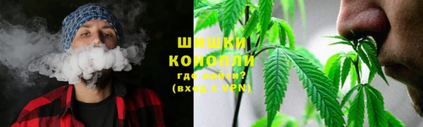гидра Дмитриев