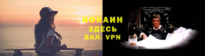 винт Дмитров