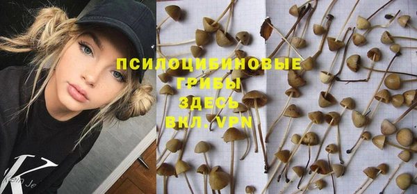 винт Дмитров