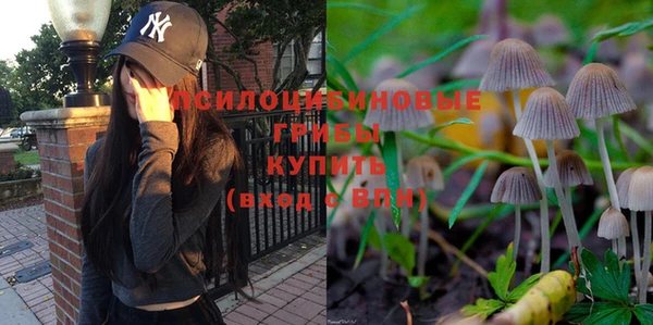 винт Дмитров
