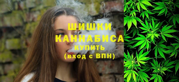 винт Дмитров