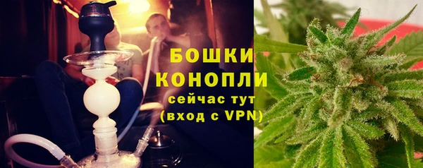 гидра Дмитриев
