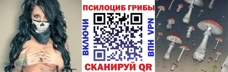 Купить  Ворсма  Галлюциногенные грибы GOLDEN TEACHER 