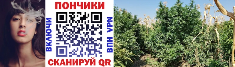 Марихуана THC 21% Ворсма